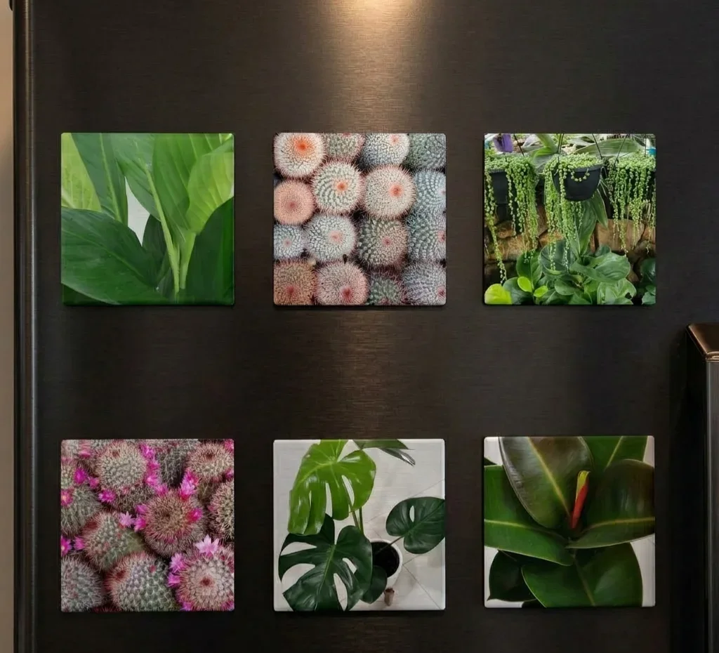 6 x 2x2" (50mm) square magnets