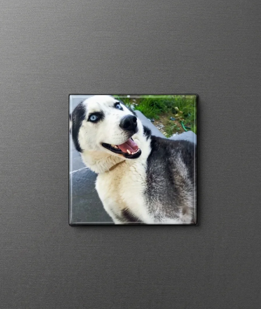 2x2" (50mm) square magnet